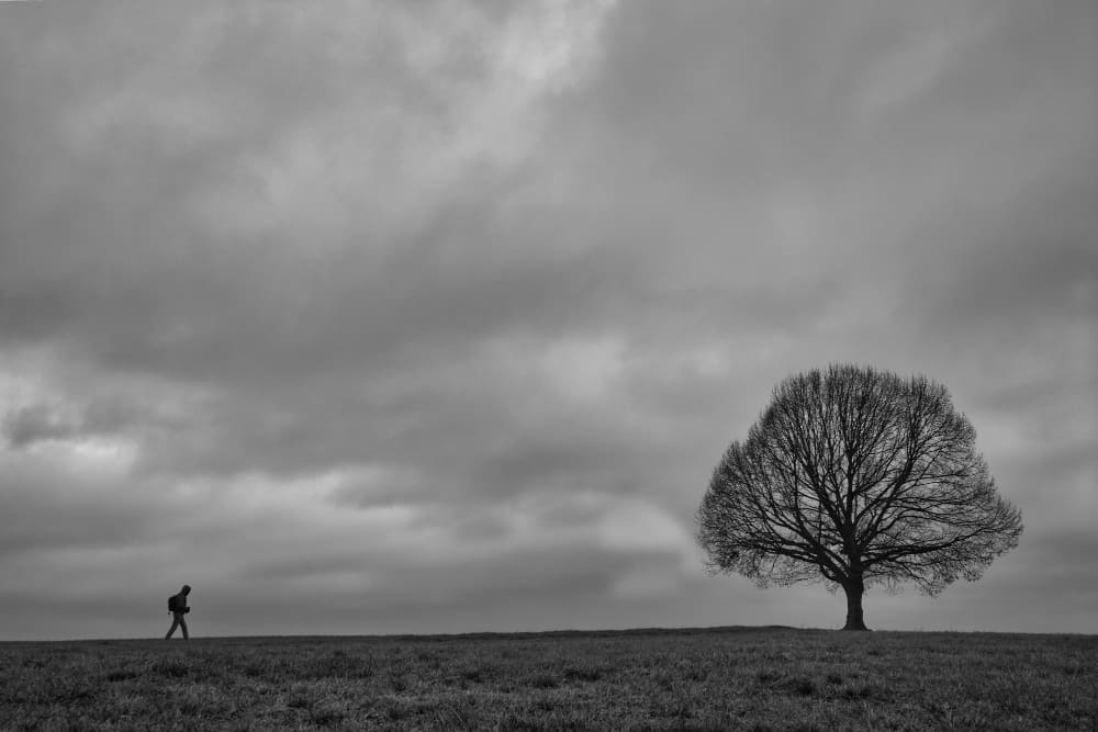 ¿Qué hacer cuando lo vemos todo gris?